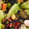 Neracionalna proizvodnja i bacanje hrane uništavaju nas i naš planet