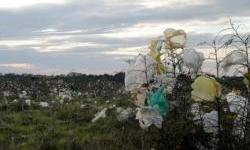 Kakva je plastika loša? Svaka, ali...