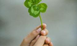 Tajna najsretnijih ljudi na svijetu