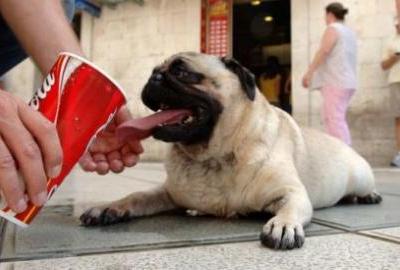 Stižu li nam paklene vrućine?