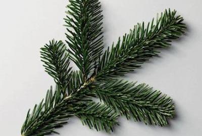 Tradicija i duh Božića