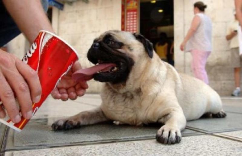 Stižu li nam paklene vrućine?