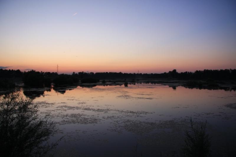 Zimsko vrijeme i metabolizam