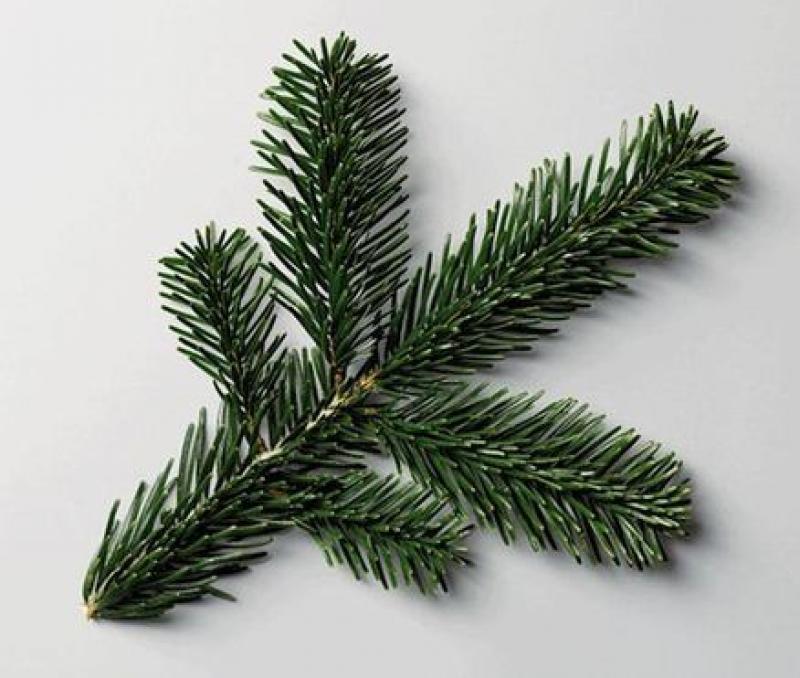 Tradicija i duh Božića