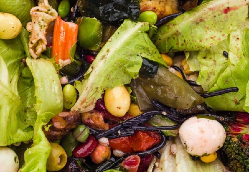 Neracionalna proizvodnja i bacanje hrane uništavaju nas i naš planet